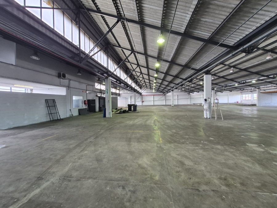 To Let Commercial Property for Rent in Paarden Eiland Western Cape